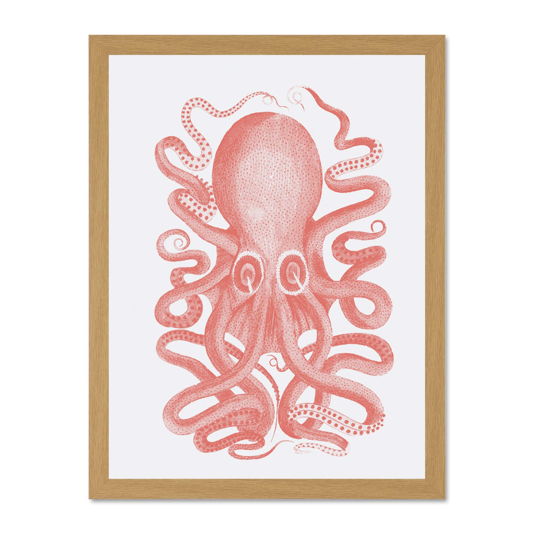 Wee Blue Coo Living Coral Octopus Large Light Oak Framed Art Print Wall Poster 18x24 inch
