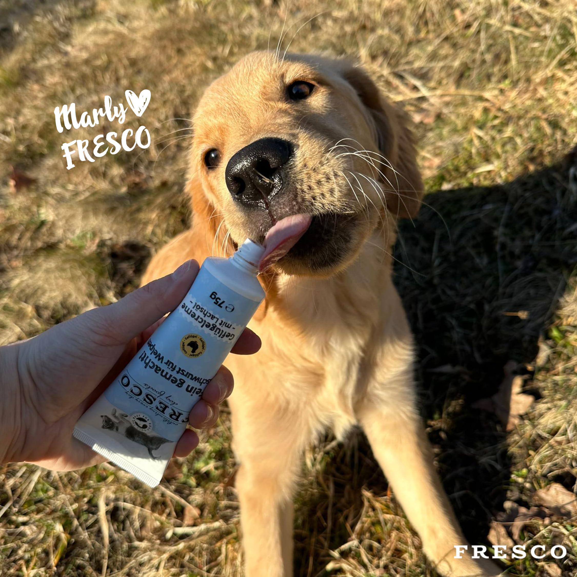 FRESCO Dog Fein Gemacht! Geflügel Leberwurst Hunde Tube | Für Welpen & mit Lachsöl | Gesundes Hundetraining | Premium Hundeleckerli getreidefrei | 9 x 75g | Aus Deutschland