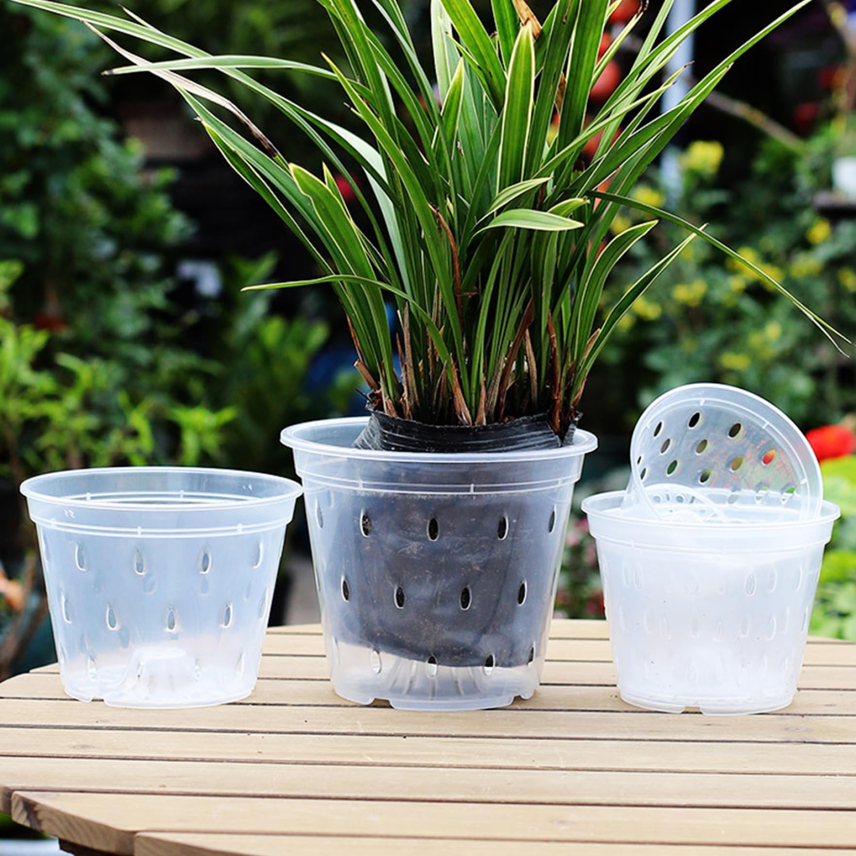Pots à orchidées 6, 7 Pouces 10 Ensembles de jardinières à orchidées en Plastique Transparent avec Trous et soucoupes Pots de Plantes Transparents Fentes Respirantes pour, Plantes succulen