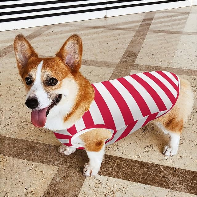 Foto 5 de 6 de Bandera de Polonia Ropa para Mascotas Gato Perro Mascota Chaleco Abrigo cálido Camisa