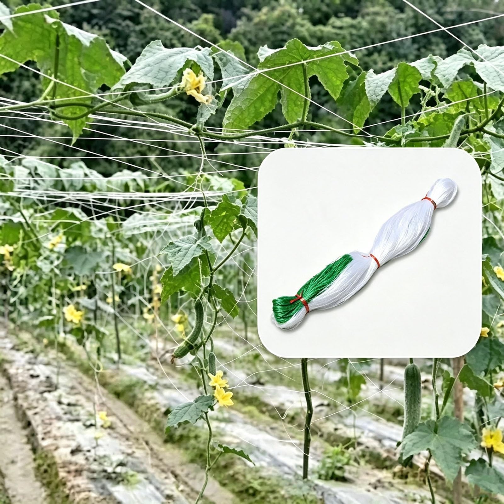 Malla De Enrejado para Plantas Grande, Malla De 25×25 cm, HDPE