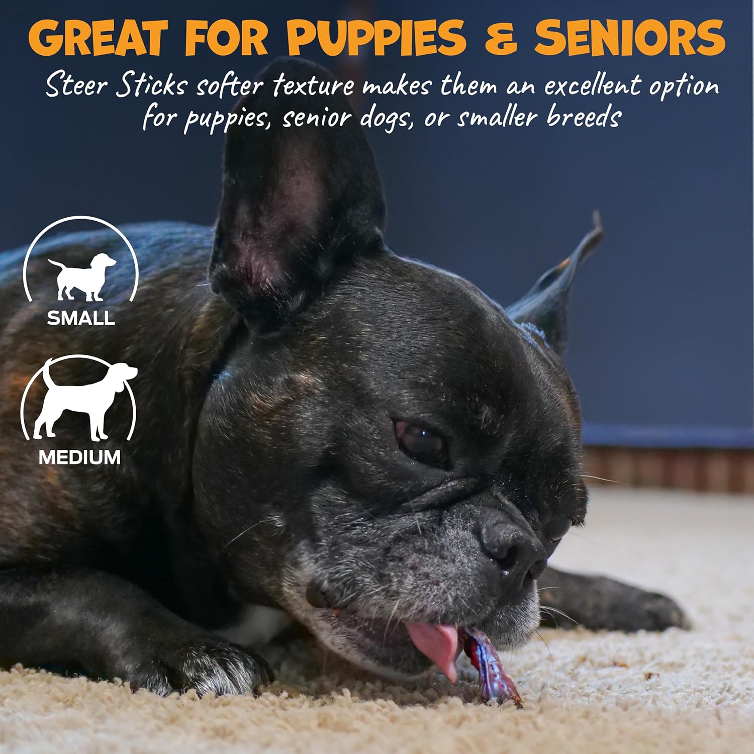 Thick Steer Bully Sticks for Medium Dogs & Small Breeds - No Hide Dog Chews & Single Ingredient Dog Treat - Bully Sticks for Medium Breeds - 5-6" (12ct)