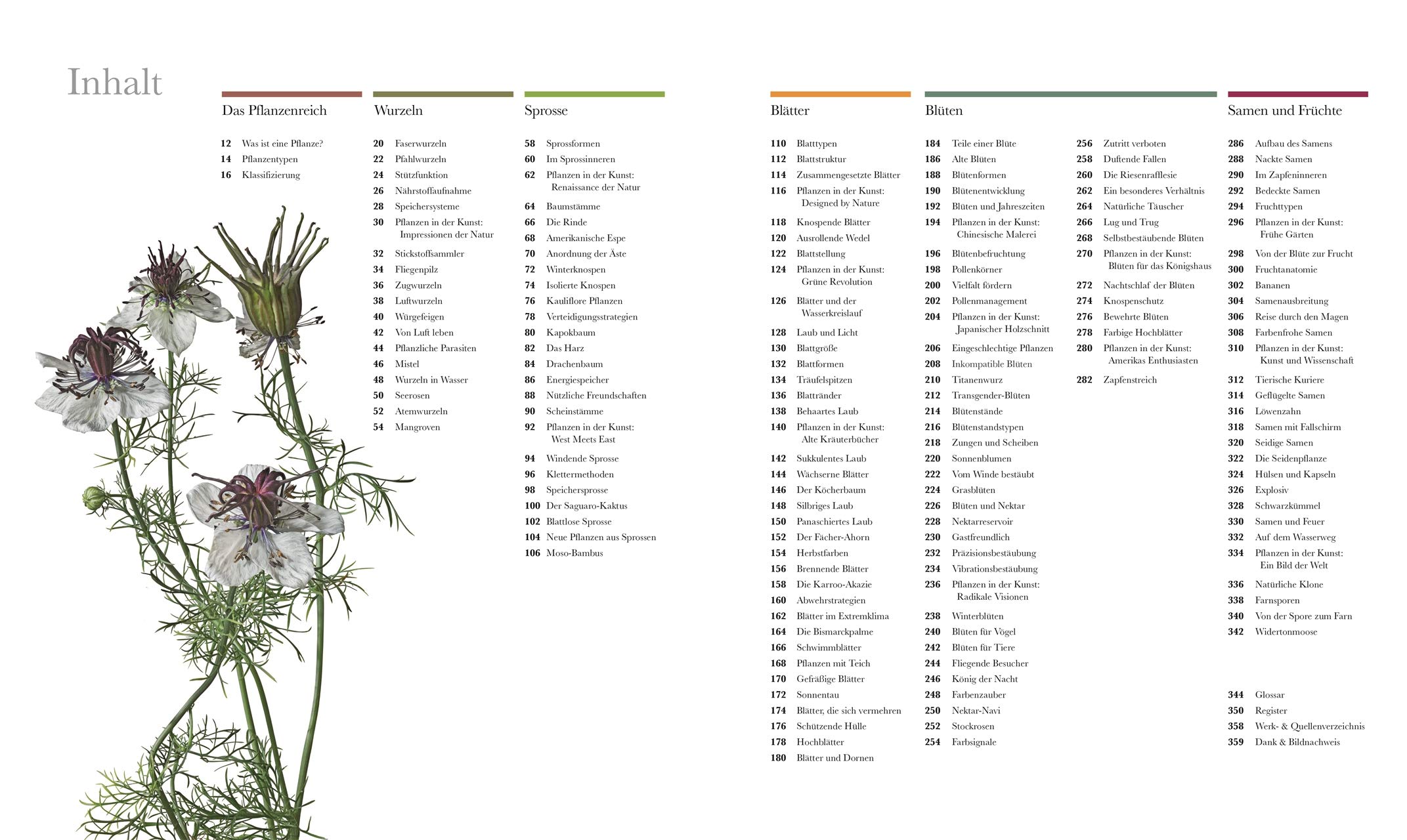 Flora – Wunderwelt der Pflanzen: Über 1500 brillante Fotos illustrieren die Schönheit von Blumen, Bäumen & Co. (DK Wunderwelten)