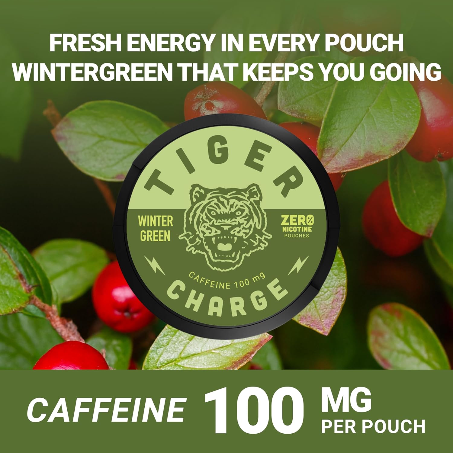5 Pack Caffeine Pouches, 100 Pouches Total, Wintergreen Energy Pouches 100mg Caffeine, Nicotine Free Tobacco Free, Focus Boost for Adults Daily