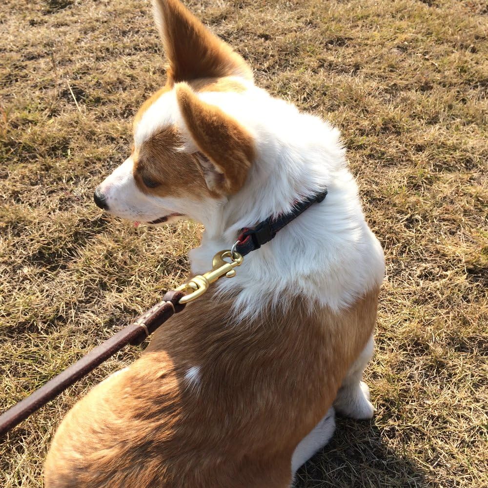 Leather Dog Leash Braided 4ft/6ft Heavy Duty...