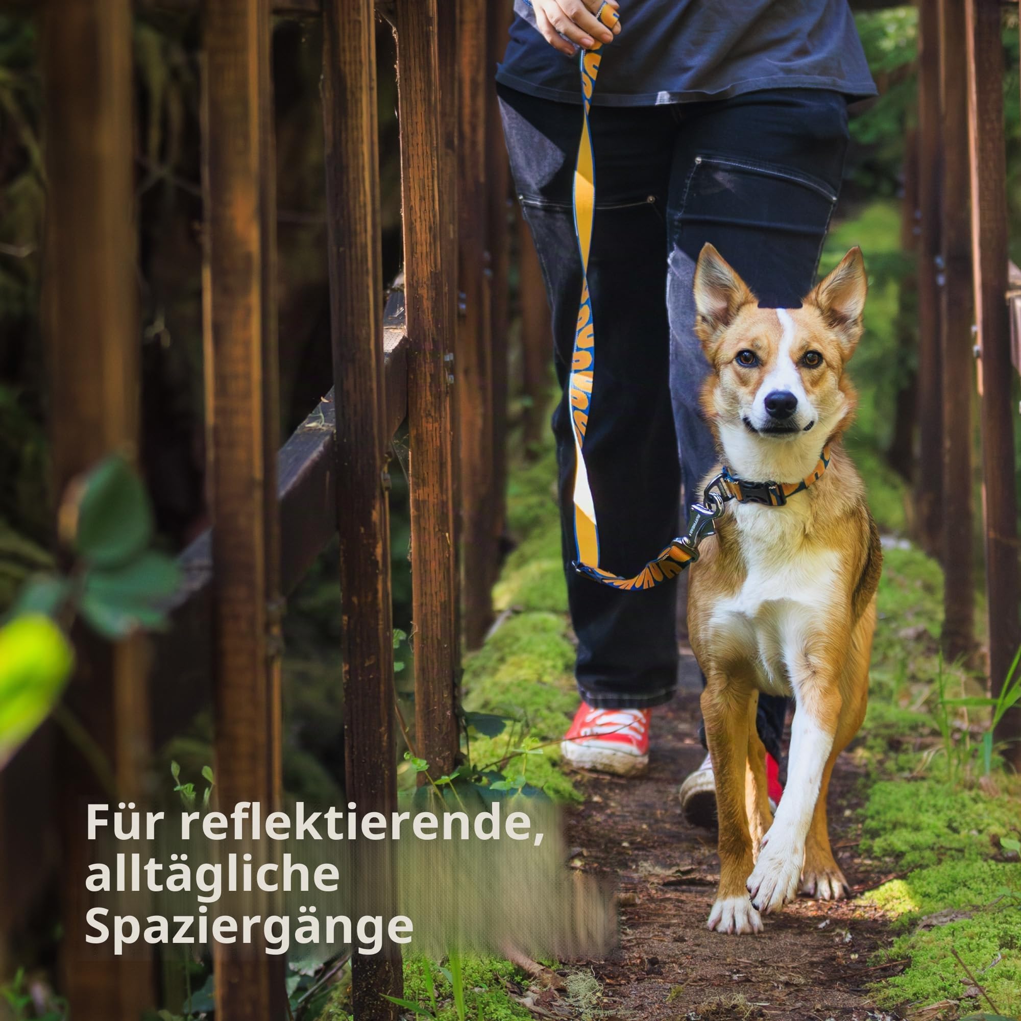 RUFFWEAR Crag Hundehalsband, mittelgroßes Hundehalsband mit Aluminium-V-Ring, verstellbare Länge, Haustier-Hundehalsband, bequem, weiches Halsband, Premium-Tierhalsband mit Befestigungsring für