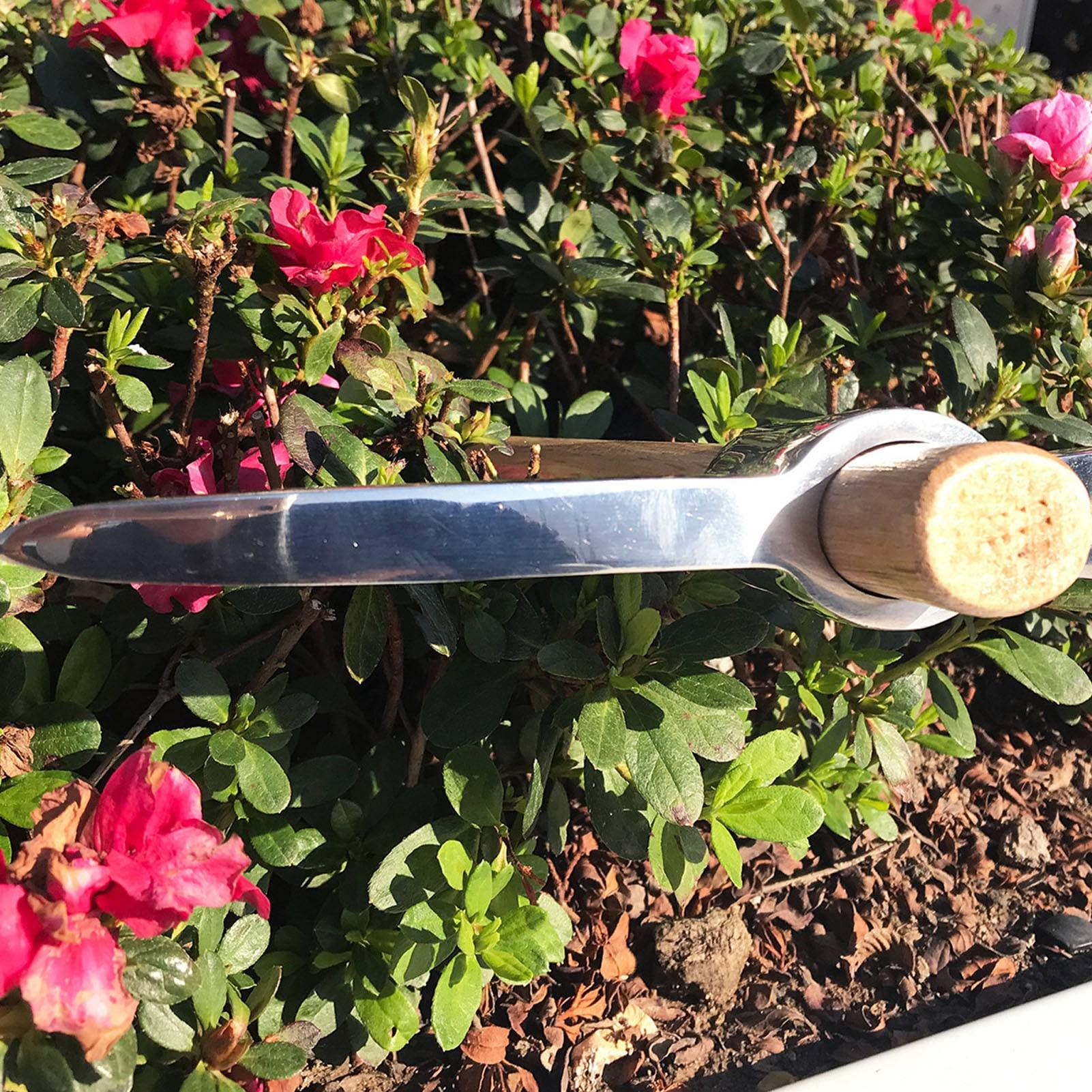 Picconi da Giardinaggio, Zappa per zappa in Acciaio Inossidabile con Manico in Legno per Trapiantare Scavare Piantare Allentare il Terreno Campeggio o Prospezione