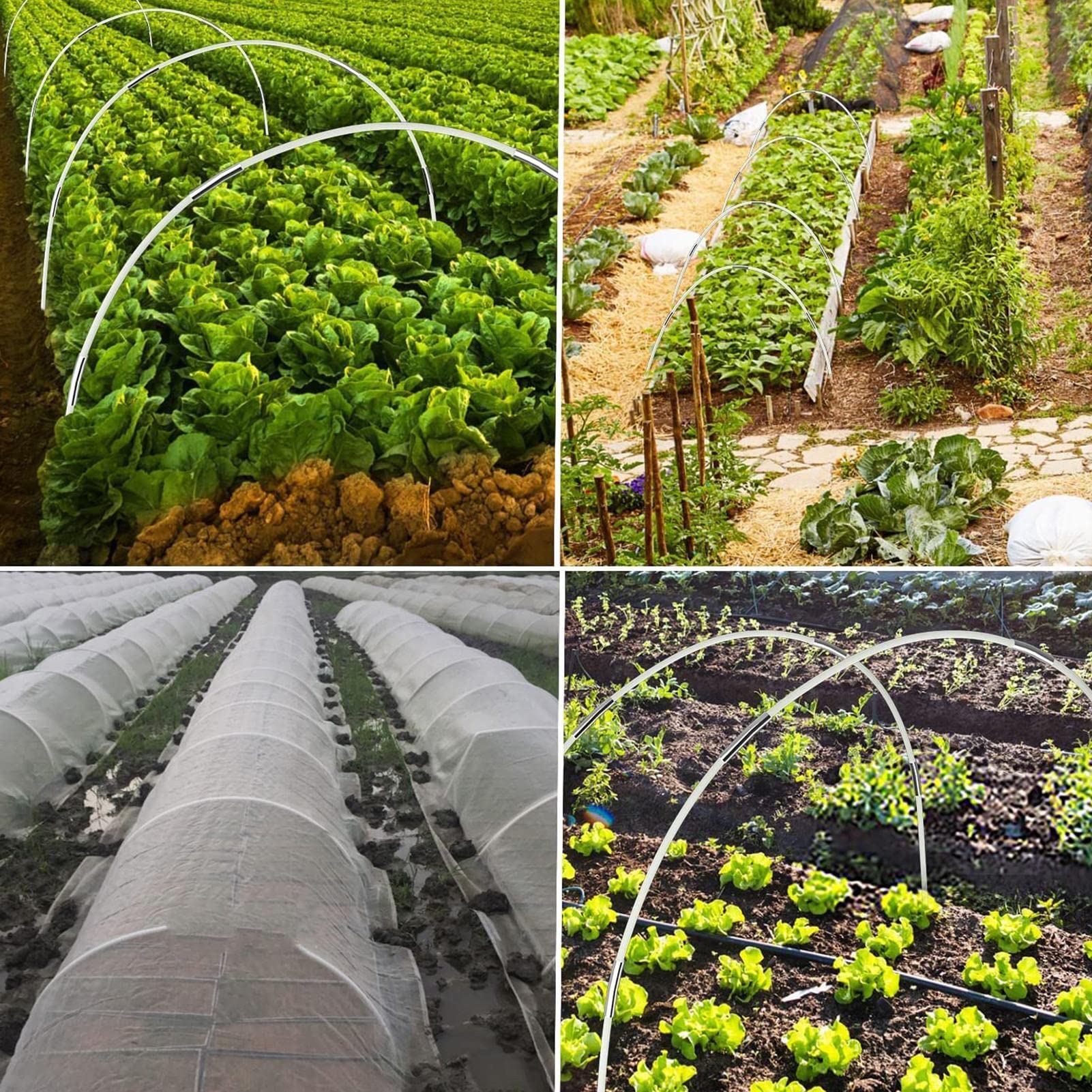Kit di 50 cerchi da giardino per supporto per piante, archi per serra, tunnel ideale per pomodori, fragole e crescita veterinaria, facile da montare