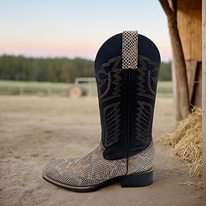 81qdX6FGjtL._AC_UY300_.jpg 81qdX6FGjtL._AC_UY300_.jpg