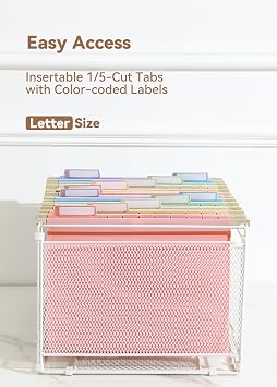 SortRax Plastic Hanging File Folders, Letter Size, Tear-Resistant, Pastel
