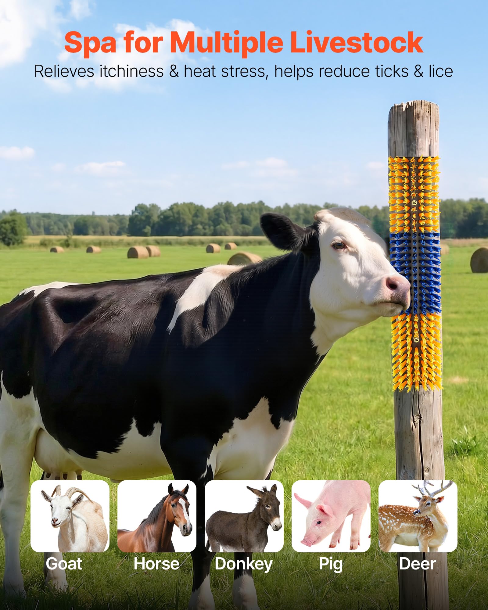 VEVOR Spazzola per Bestiame 4 Pezzi, Perno Grattapelo con 16 Viti 430 x 100 mm, Colore Giallo e Blu, per Alleviamento Prurito in Autonomia Massaggio e Toelettatura per Cavalli Asini Bovini e Suini