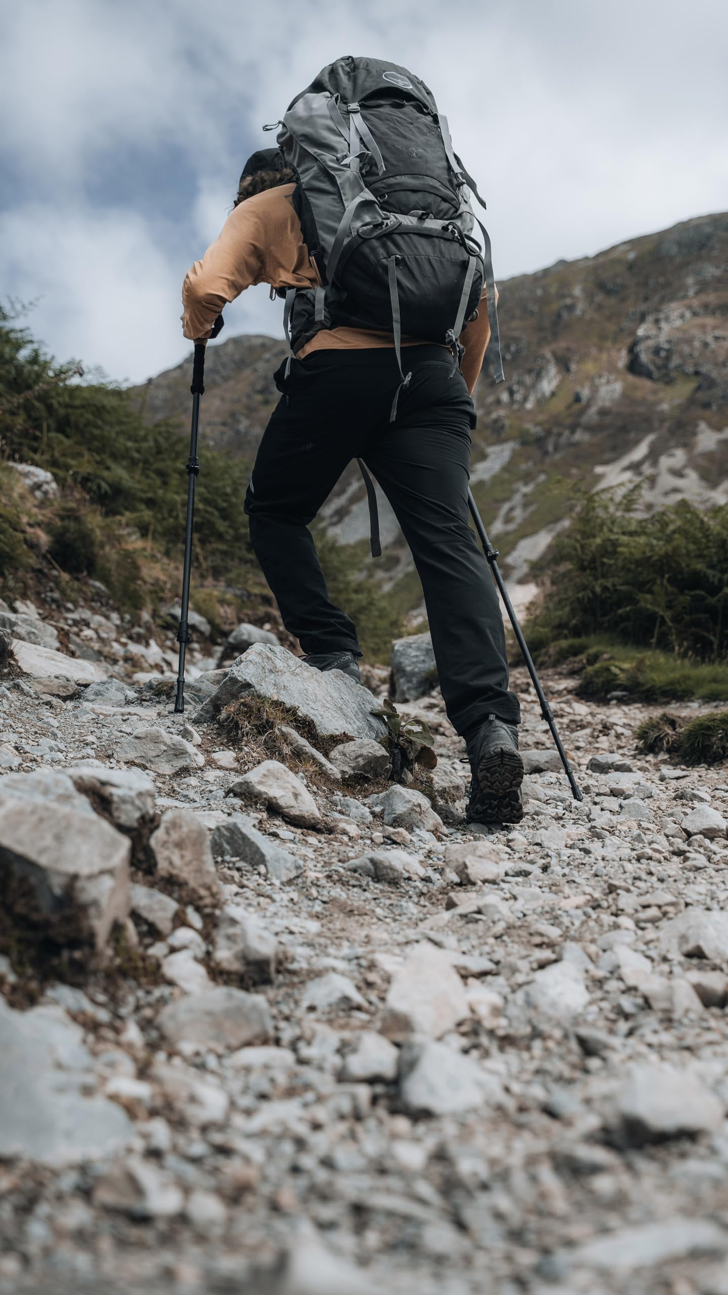 Lifesystems Bastoncini da trekking in fibra di carbonio, 2 pezzi, ultraleggeri, completamente regolabili, per escursionismo, alpinismo