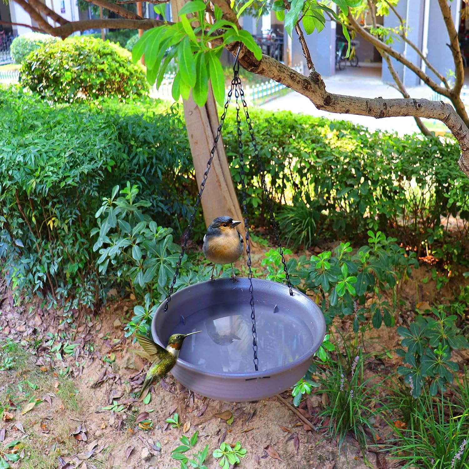 12 Inch Hanging Bird Bath and Feeder With Hook and Chain for Outdoor Garden Yard Patio