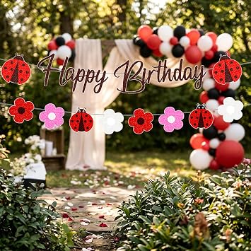 Ladybug Birthday Party Decorations Banner