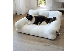 Pet Couch Bed: The Ultimate Cat Sofa for Indoor Cats
