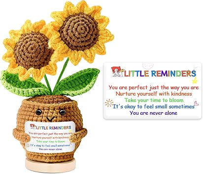 PinCute Christmas Stocking Stuffers Gifts Office Home Decoration for Her Him, Inspirational Support Sunflowers Unique Anxiety Relief Birthday Anniversary Present for Women Men People with Depression