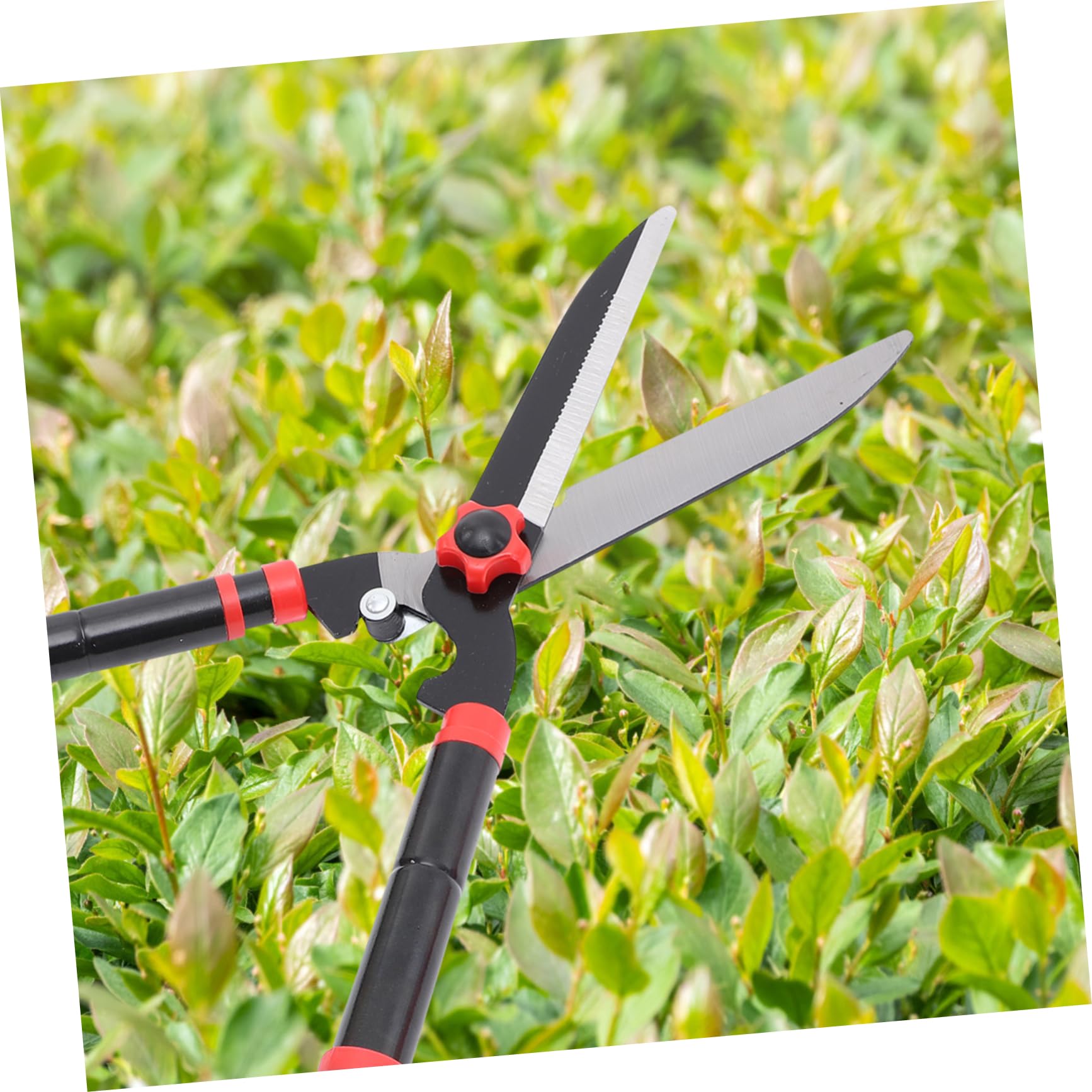Toddmomy Cesura Per Siepi Manuali Cesoie Per Giardinaggio Ad Resistenza Forbici Per Potatura Arbusti e Attrezzi Per e Impugnatura in Gomma