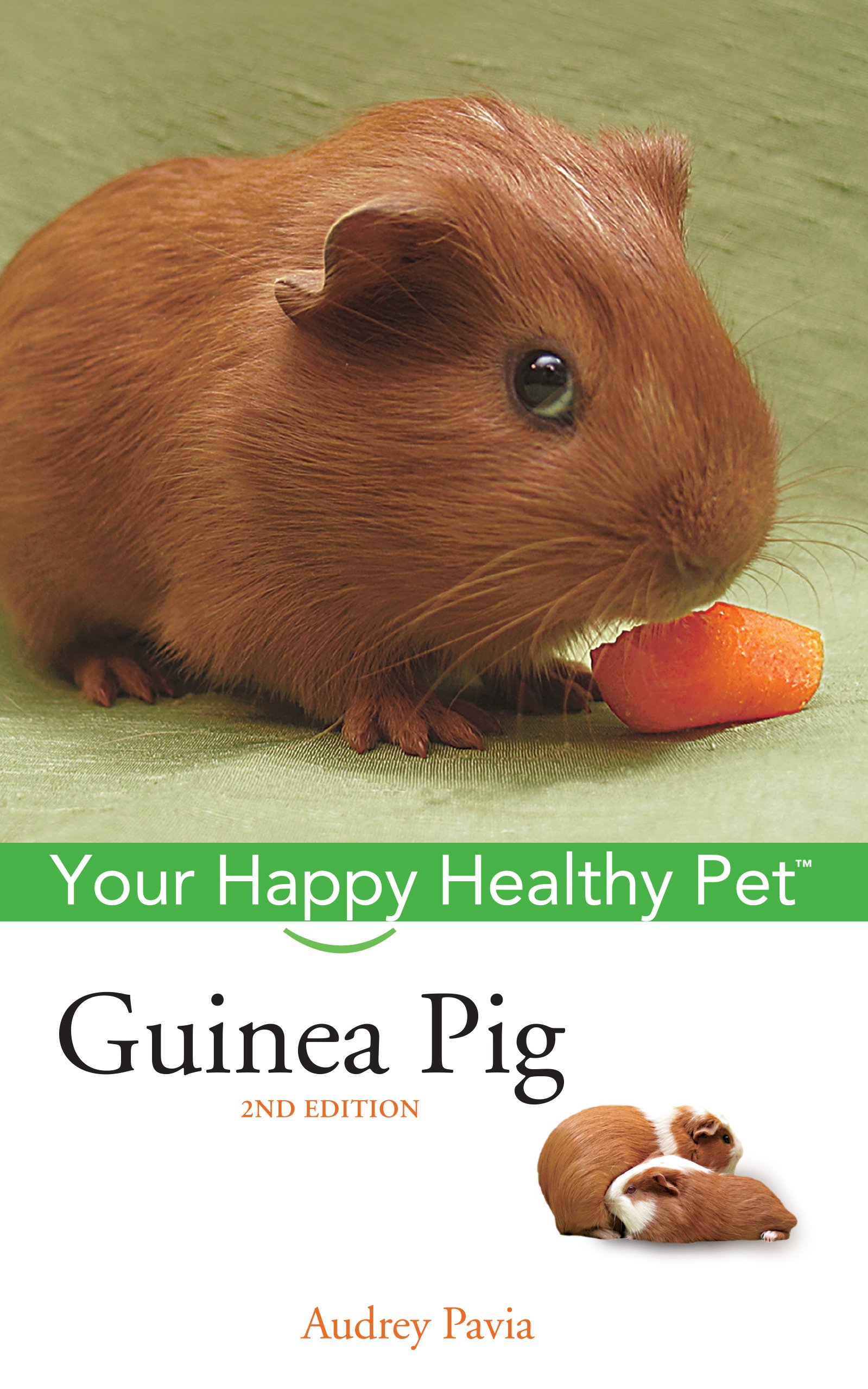 Buy Guinea Pig: Your Happy Healthy Pet: 21 — BookShops.in