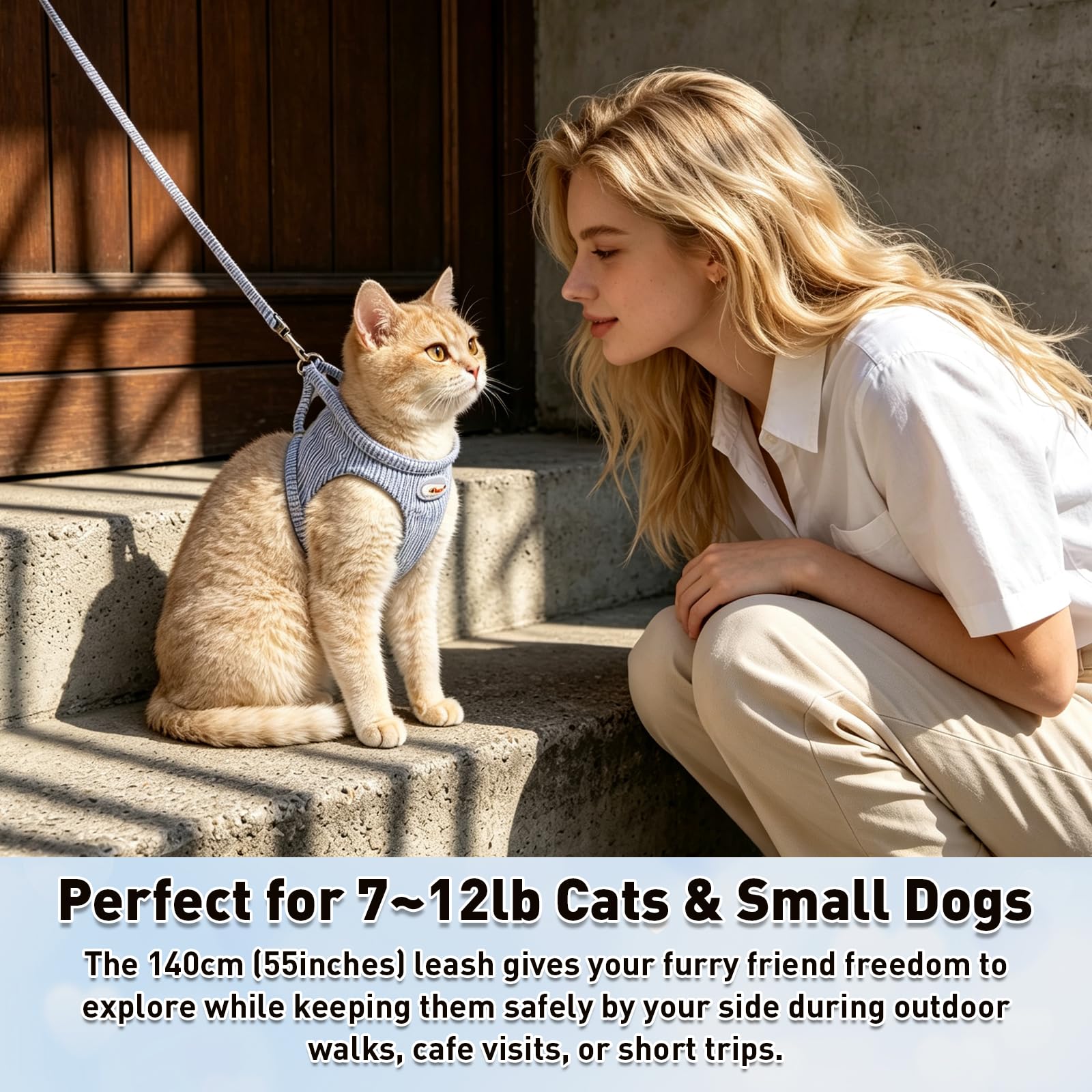Ensemble harnais et laisse pour chat, gilet anti-fugue pour petits chiens, jaune | Anti-fuite, tissu polyester doux, laisse de 140 cm