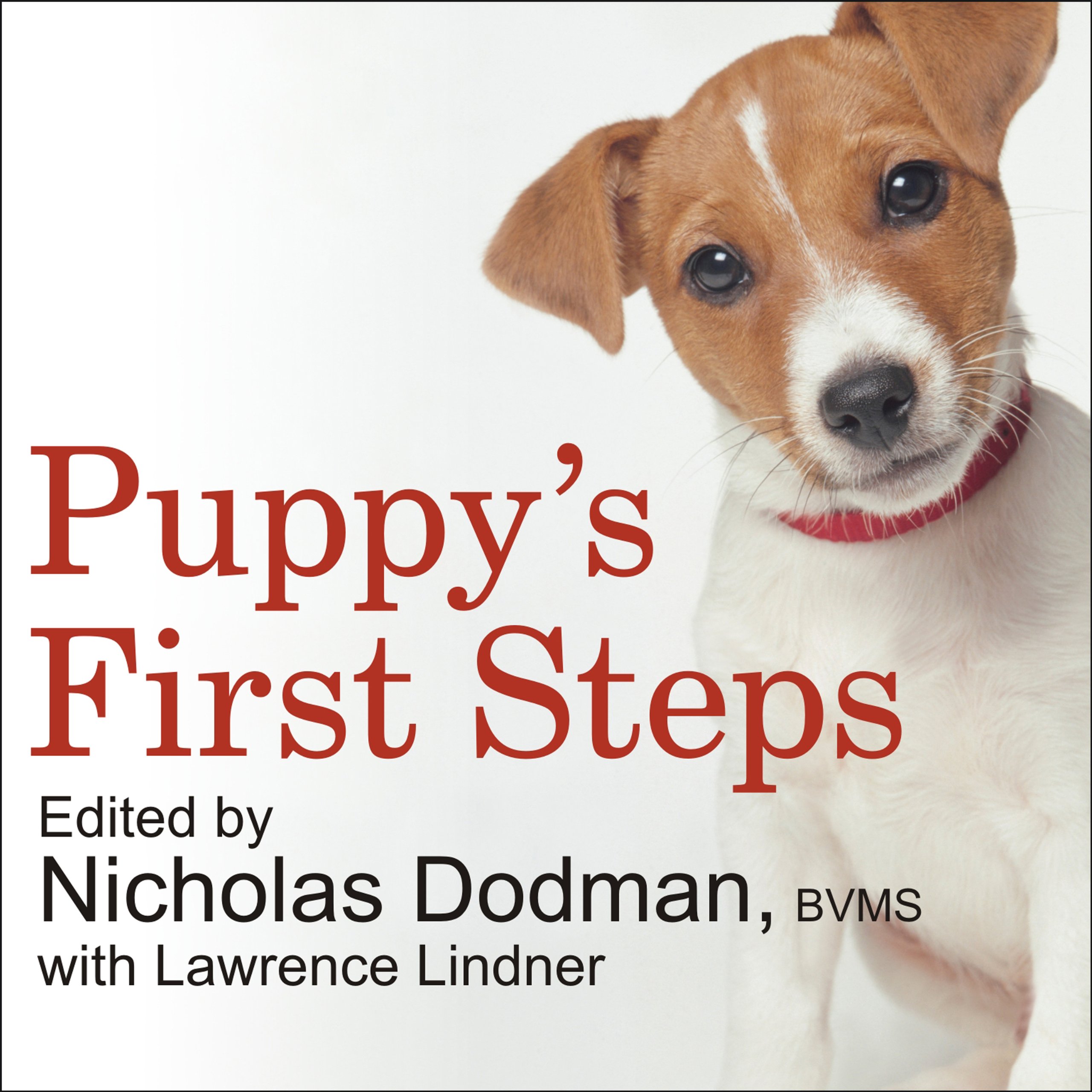 Cover art for Puppy's First Steps