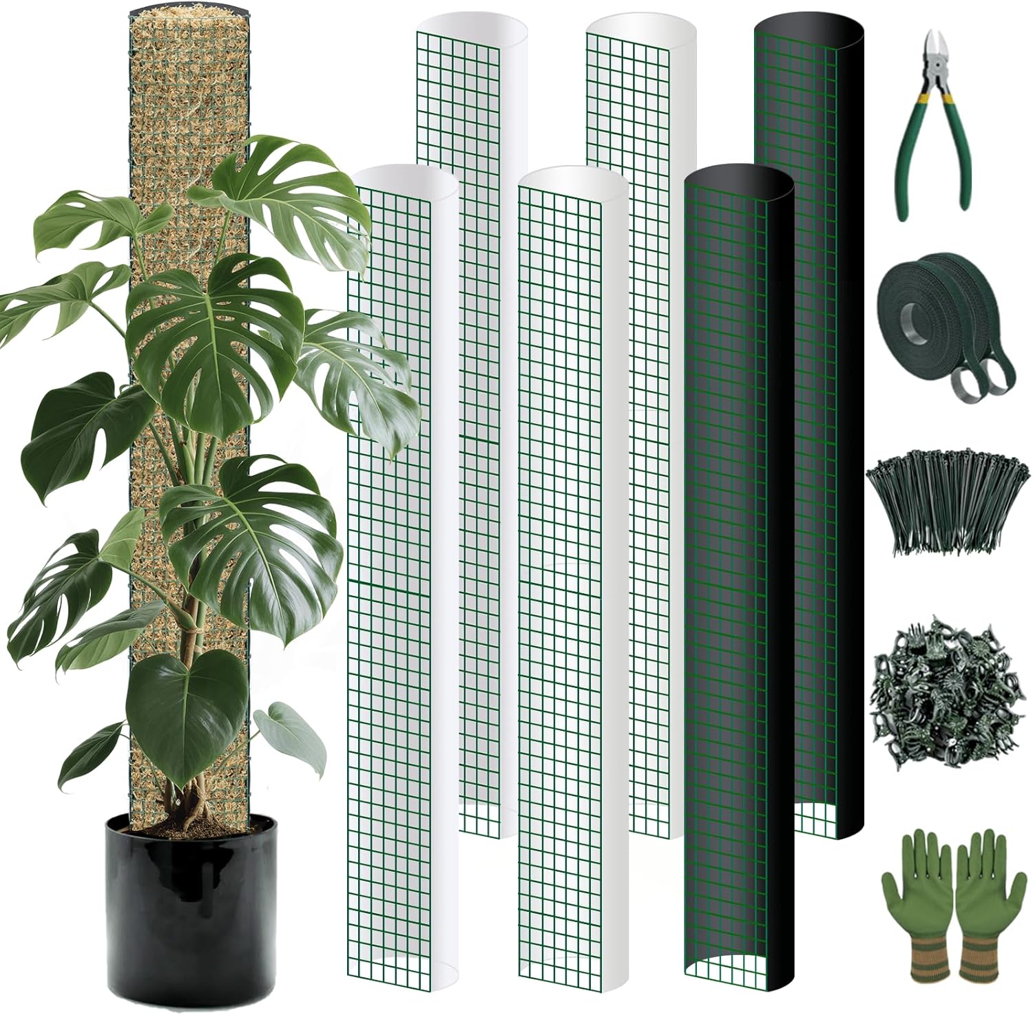 Metal Moss Poles for Climbing Plants, D-Shape Sphagnum Moss Pole Monstera Plant Support for Climbing Plants, DIY Plant Stakes Work with Sphagnum Moss (24ft D-Shaped)