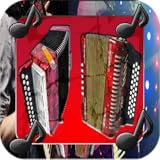 Acordeon