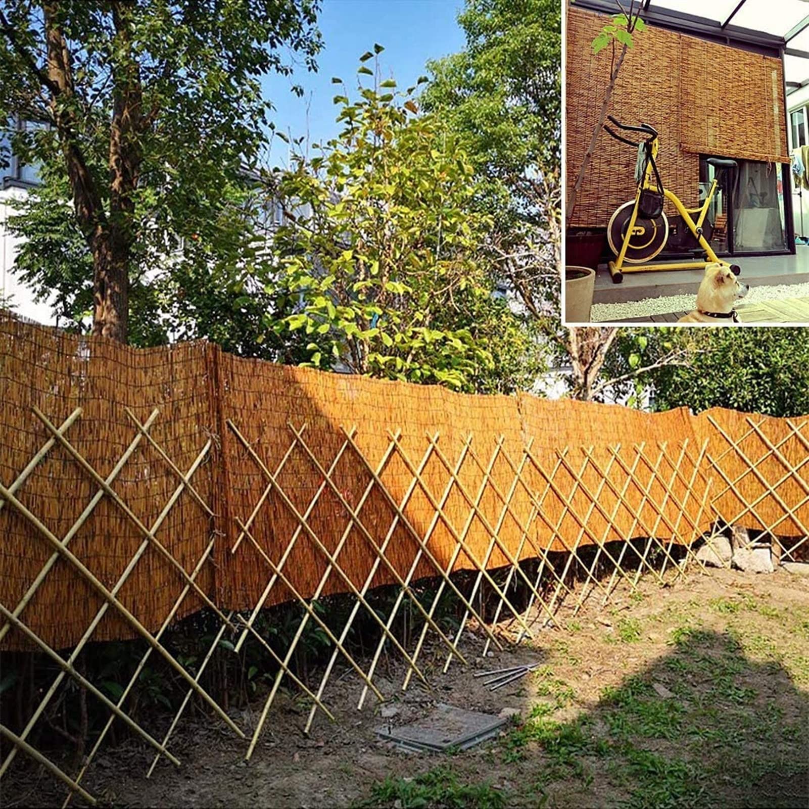 Rolety bambusowe do użytku na zewnątrz i wewnątrz, naturalna zasłona z podnośnikiem, szerokość 50, 160 cm szerokości, roleta do podnoszenia, osłona przeciwsłoneczna do kampera, 70% ochrony przed