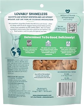Shameless Pets Crunchy Cat Treats - Catnip N Chill, 2.5 oz