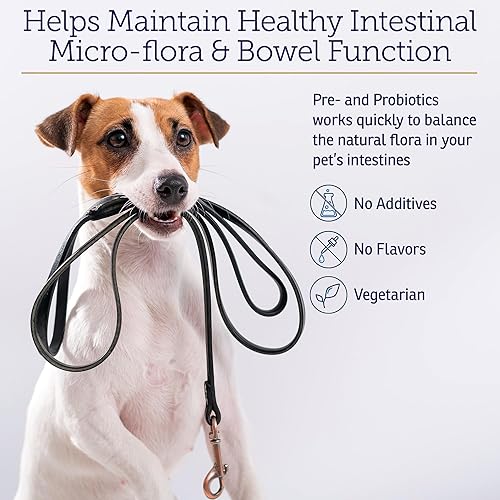 Miniatura 4 de Rx Vitamins Rx Biotic - Polvo probiótico para perros y gatos - Apoyo digestivo y probiótico para perros salud intestinal - Probióticos para perros