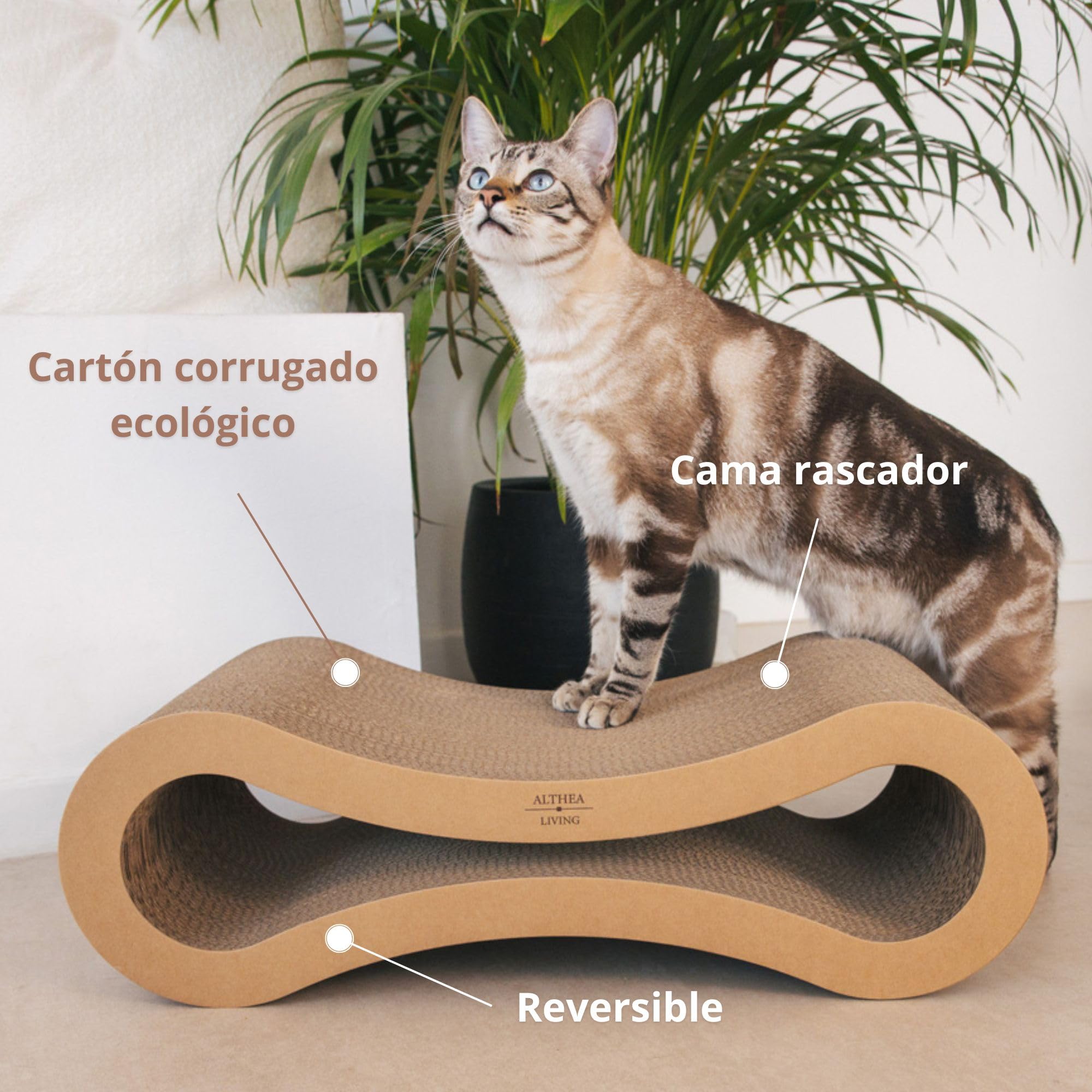 Rascador para Gatos con Forma de Infinito Reversible de Cartón Reciclado | Diseño Ergonómico para Rascado y Descanso | Doble Cara Duradero | ALTHEA LIVING