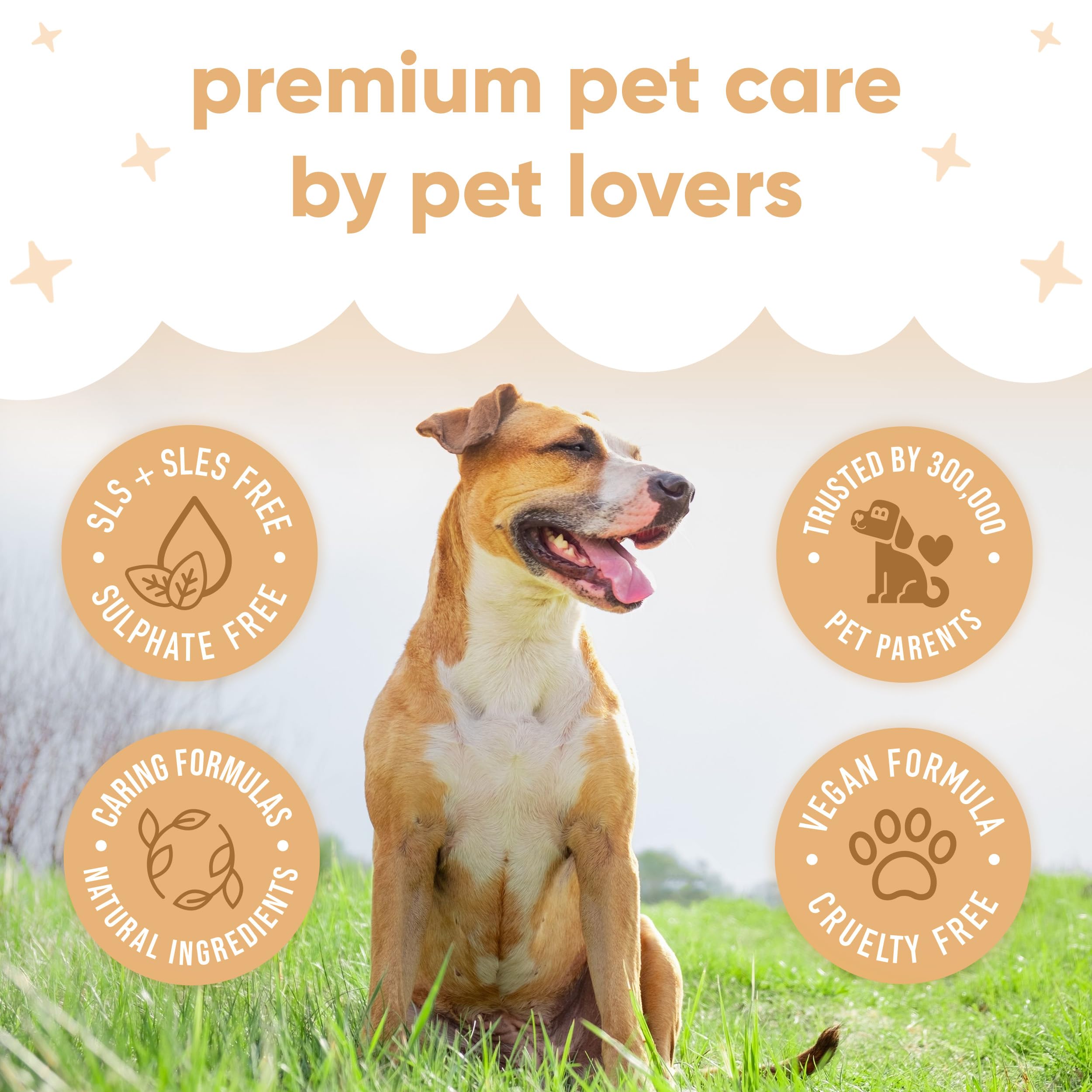 Buddycare Bezwodny, suchy szampon dla psów (200 ml) | Oatmeal szampon dla psów bez spłukiwania do skóry wrażliwej | naturalny, łatwy w użyciu suchy szampon dla świeżego, czystego sierści