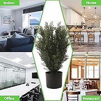 Vista 7 de Árbol topiario de cedro de 2 pies para puerta de porche delantera, plantas falsas en maceta de 4 pies, árbol de ciprés de pino falso, arbustos