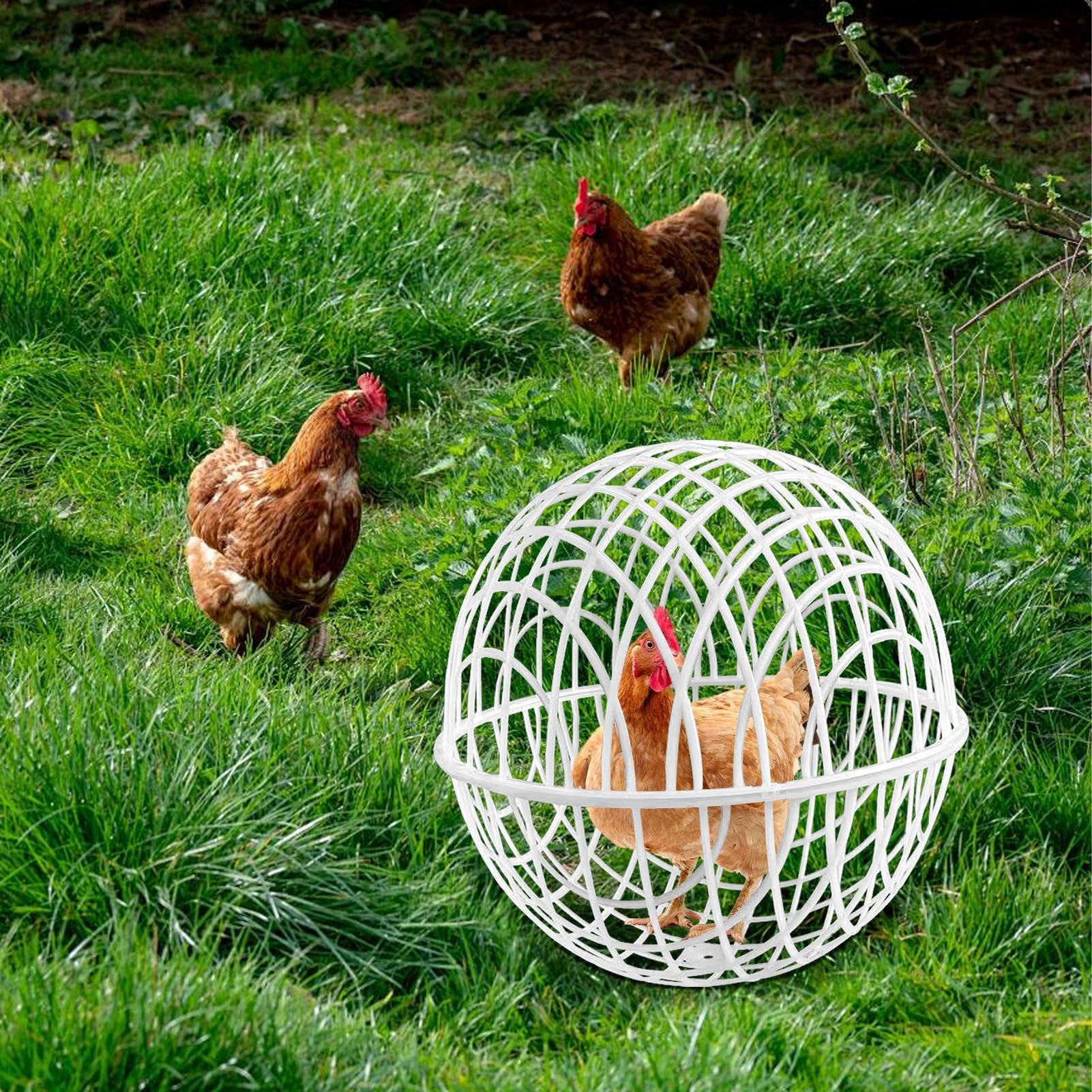 3 Pieces Ball-Shaped Movable Chicken Coop Chicken Balls Cage Farm Outdoor Rolling Bunny Duck Hutch Safe Walking Net Preventing Dog Bites Trampled by Horse — view 4
