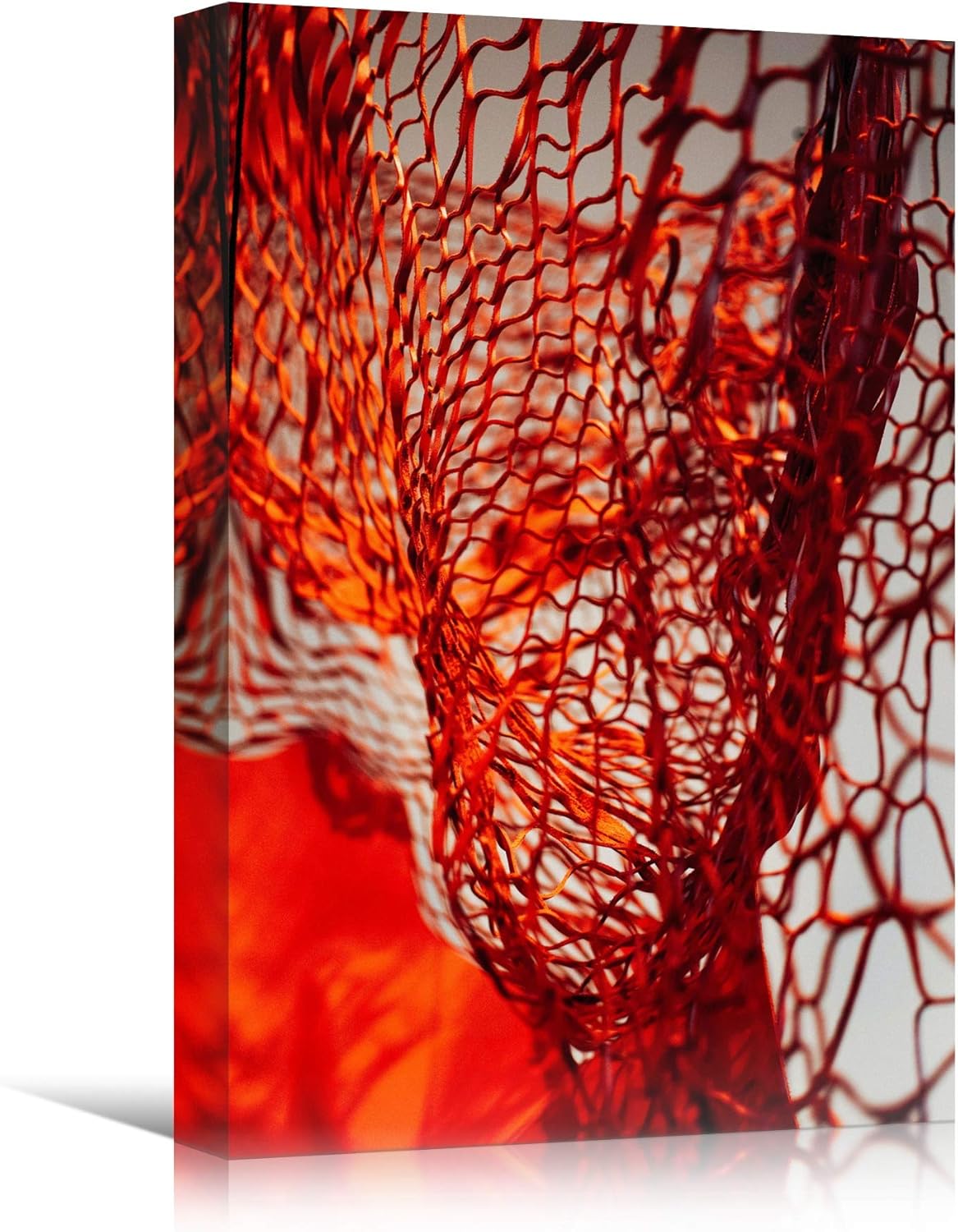 SIGNWIN Abstract Netting Patterns Canvas Wall Art - Colorful Contemporary Mixed Media Print, 16x24 Inches Hallway Decor