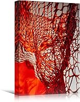 SIGNWIN Abstract Netting Patterns Canvas Wall Art - Colorful Contemporary Mixed Media Print, 16x24 Inches Hallway Decor