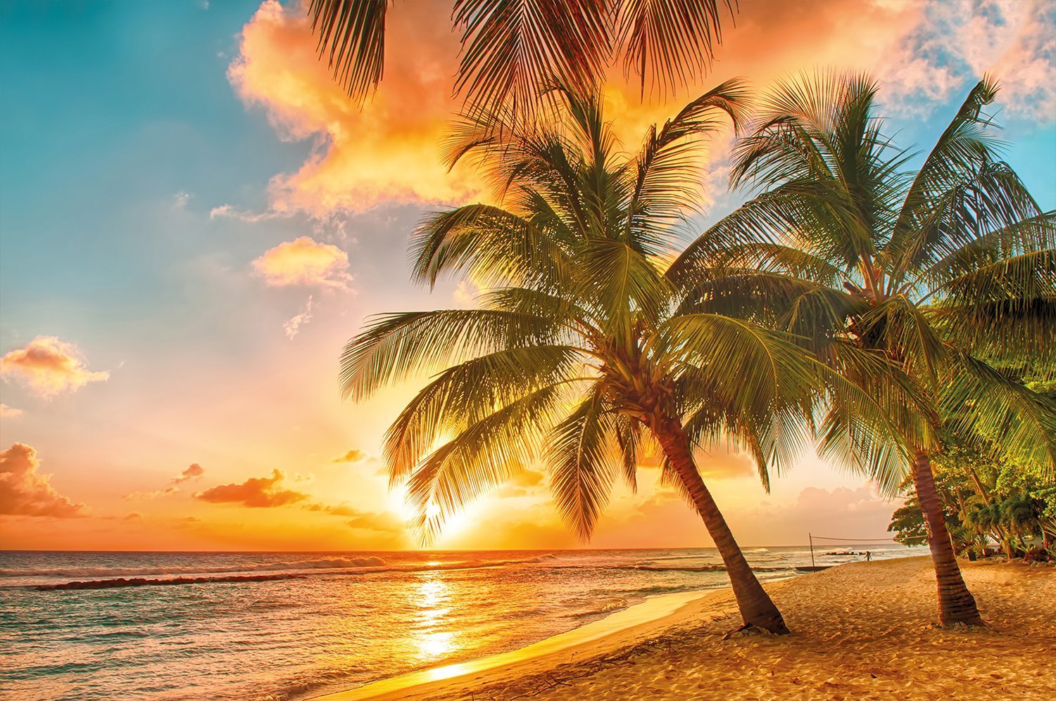 Caribbean Beach Sunset Wallpaper The Exotic Caribbean Beaches For Your
