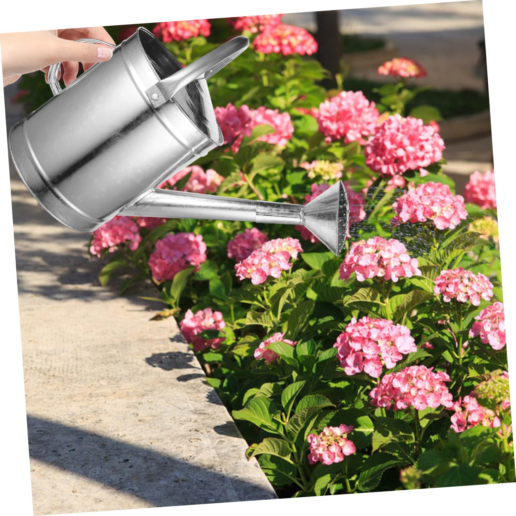 Regadera de Hierro Resistente de 5 litros para Jardín y Plantas, Boquilla Rociadora Ergonómica, Maceta de Riego para Suculentas y Plantas de Interior y Exterior Varios Estilos