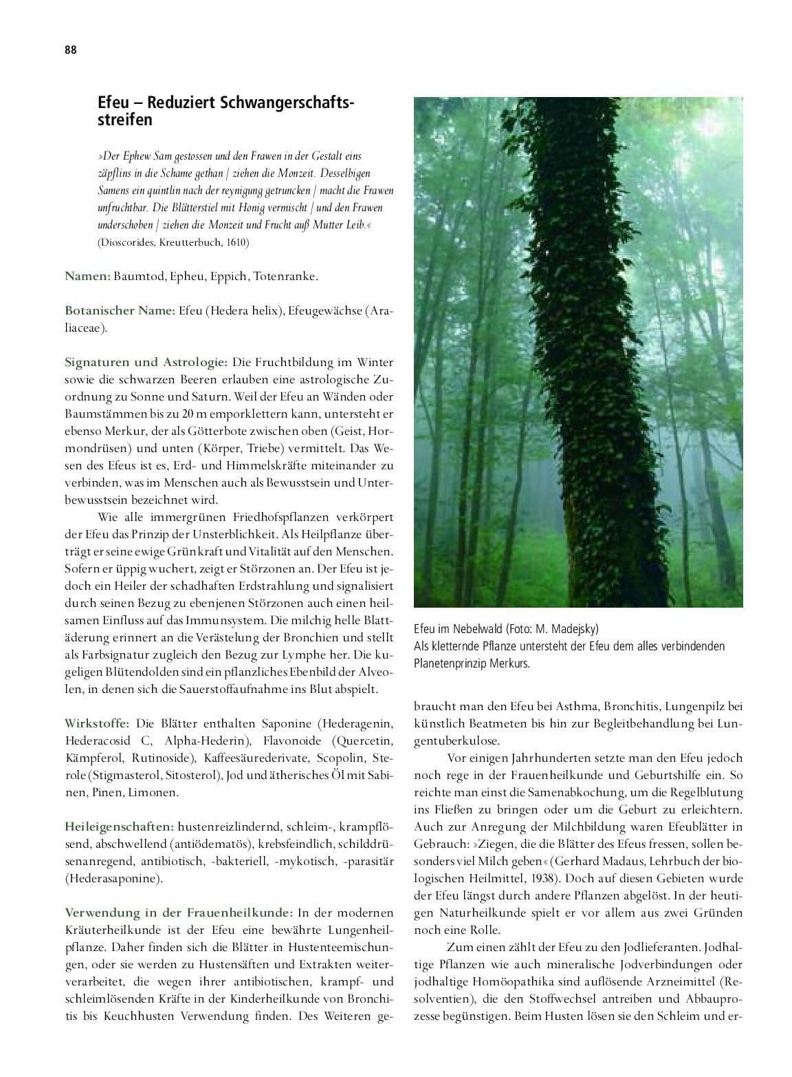 Lexikon der Frauenkräuter: Inhaltsstoffe, Wirkungen, Signaturen und Anwendungen 110 Frauenkräuterporträts, 180 Rezepte & Therapievorschläge. Natürliche Frauenheilkunde für alle Altersgruppen
