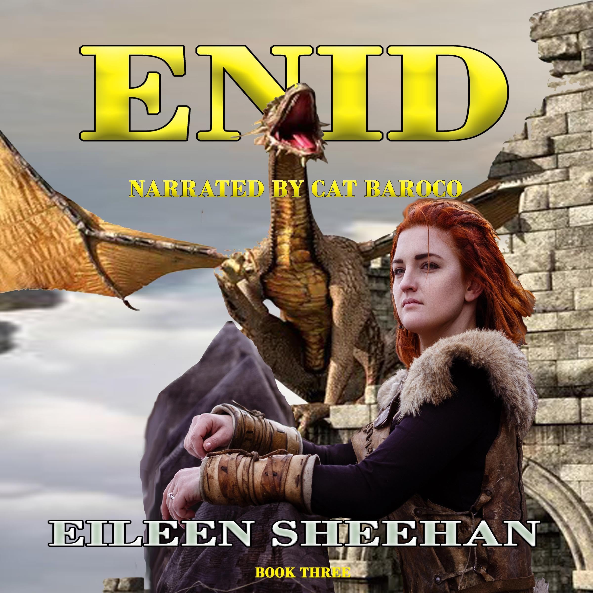 Cover art for ENID, Book 3