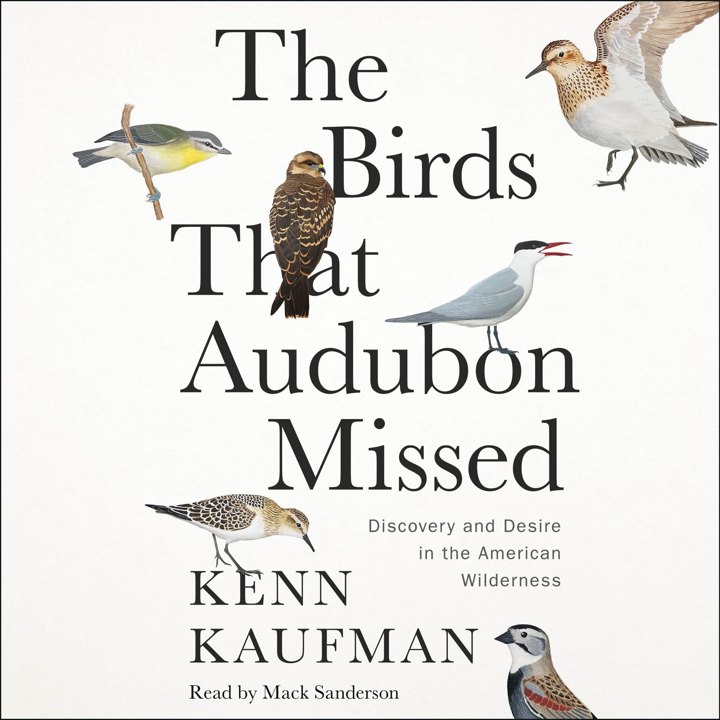 Cover art for The Birds That Audubon Missed