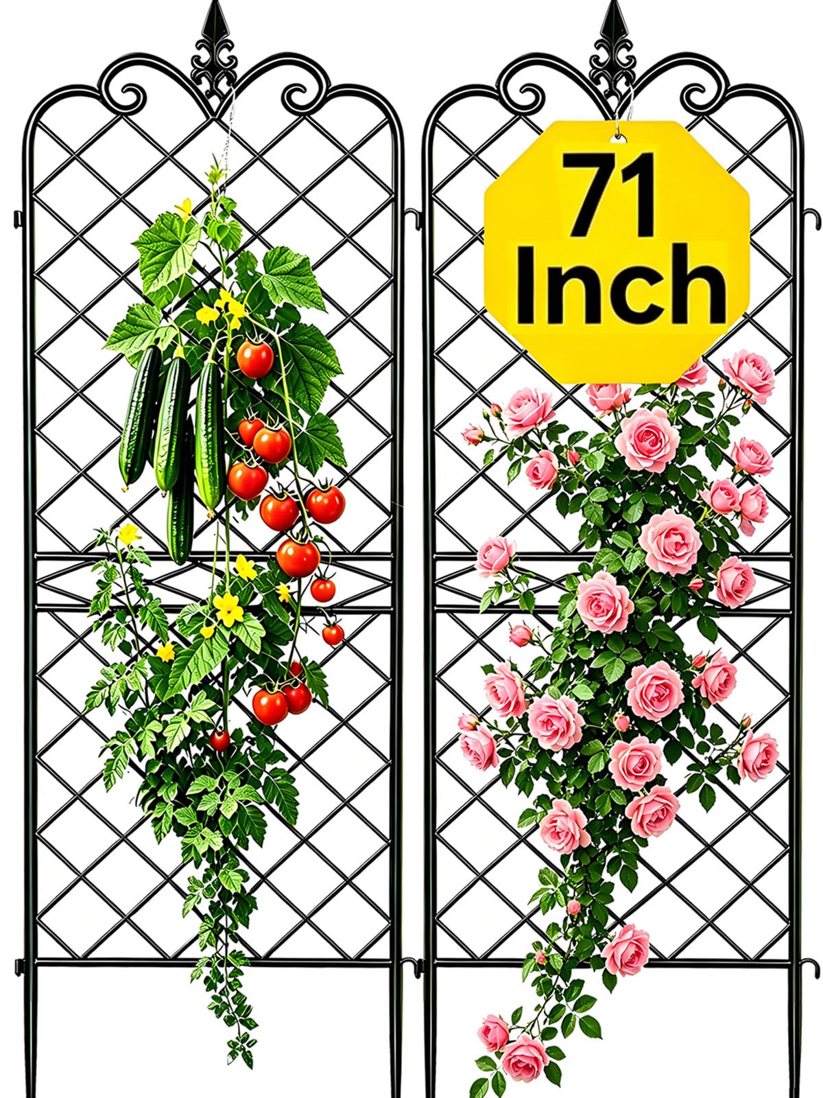 AMAGABELI 2-Pack 71x20