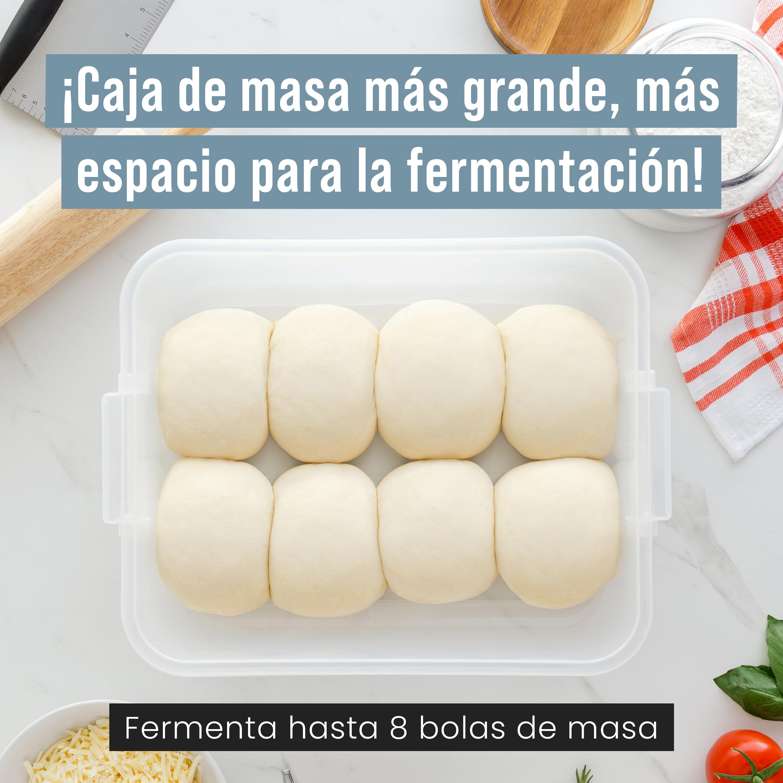 Chef Pomodoro Caja con Tapa para Fermentar Bolas de Masa de Pizza, Contenedor Plástico, Caja Transparente con Práctica Asa de Transporte (Azul, 44 x 34 cm (Paquete de 2))