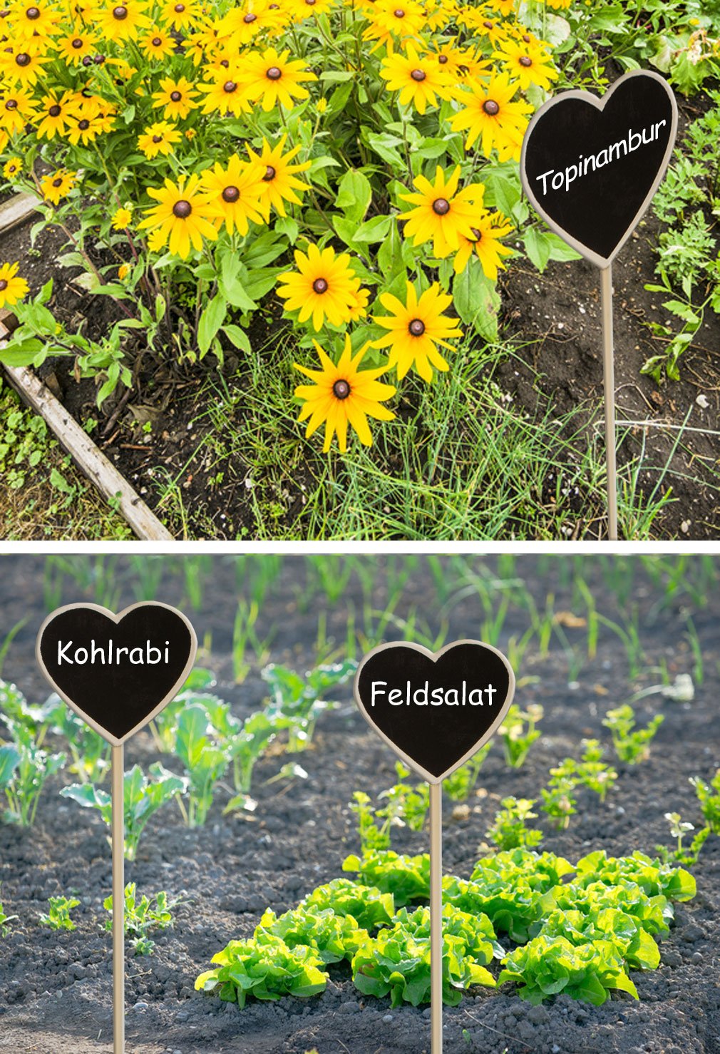 HomeTools.eu 6X Classic Wooden Plant Signs for Beds Balconies Herbs Garden Flower Pot Can Be Written On 22 cm Heart Set of 6 - Image 3