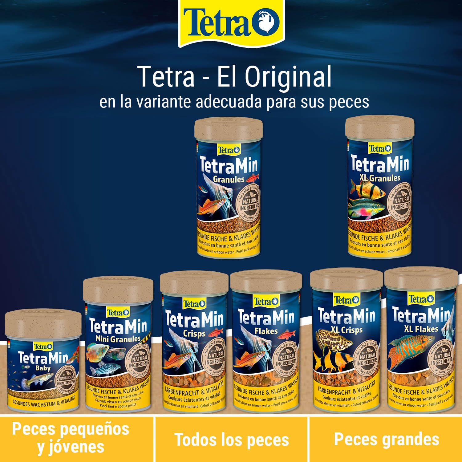 TetraMin Mini Granules - alimento en forma de gránulos de grano fino para los peces ornamentales más pequeños , mezcla equilibrada para peces sanos y agua clara, lata de 100 ml