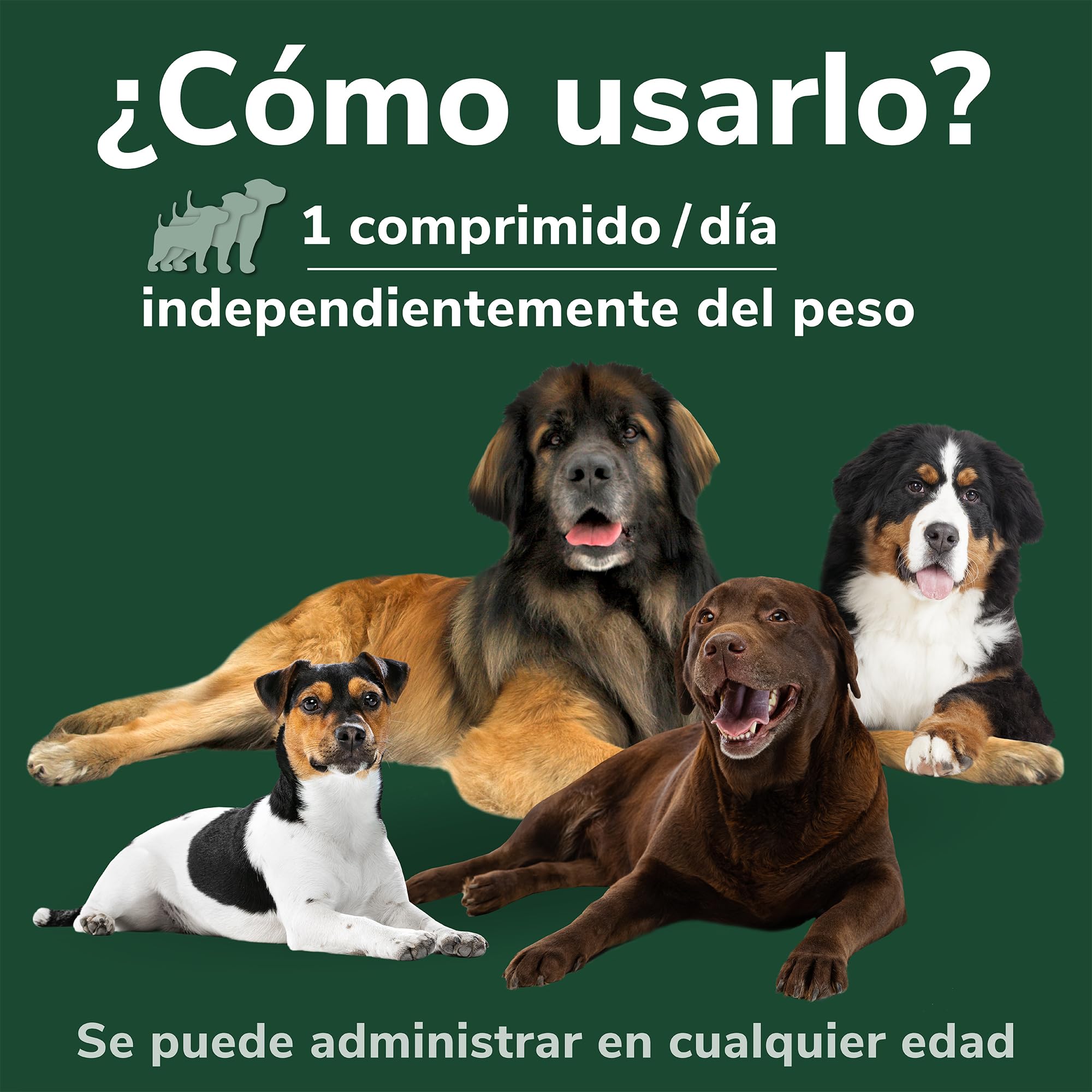 Omnicondro PROrapid Hifarmax - Condroprotector Perros con Vitaminas | Pastillas para Articulaciones Perros | Condroprotector con Colágeno | Caja de 60 Pastillas