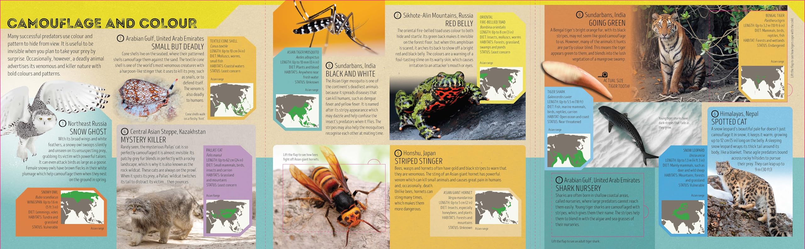 Deadly Animal Atlas -anglais-: Amazing Facts, Fold Out Maps & Lift the Flaps | Meet Snakes, Sharks, Tigers, Jellyfish & More | Packed with Beautiful Illustrations