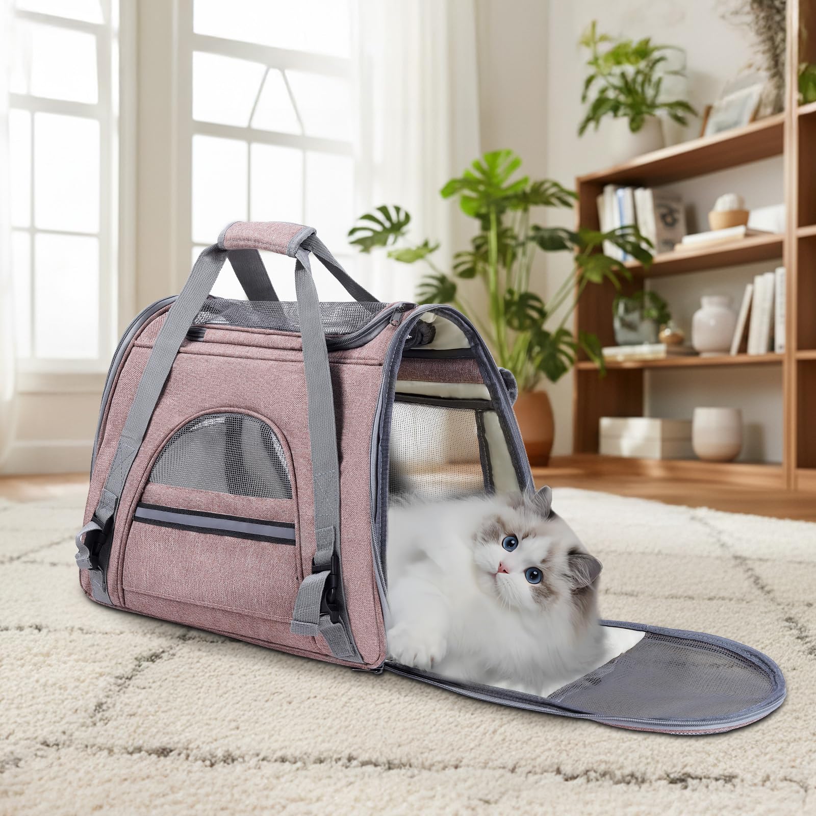 YooxArmor Transporttasche für Katzen & Kleinhunde,Katzentransportbox Hundetransportbox Faltbare für Reise & Auto,45 x 25 x 34 cm,Tragbar Hundebox Katze Tragetasche bis 9kg