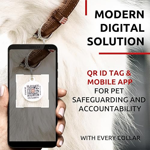 Miniatura 5 de WAUDOG Collar de cuero enrollado ultrasuave para perros pequeños, collares acolchados suaves para perros medianos, collares de cachorros para perros