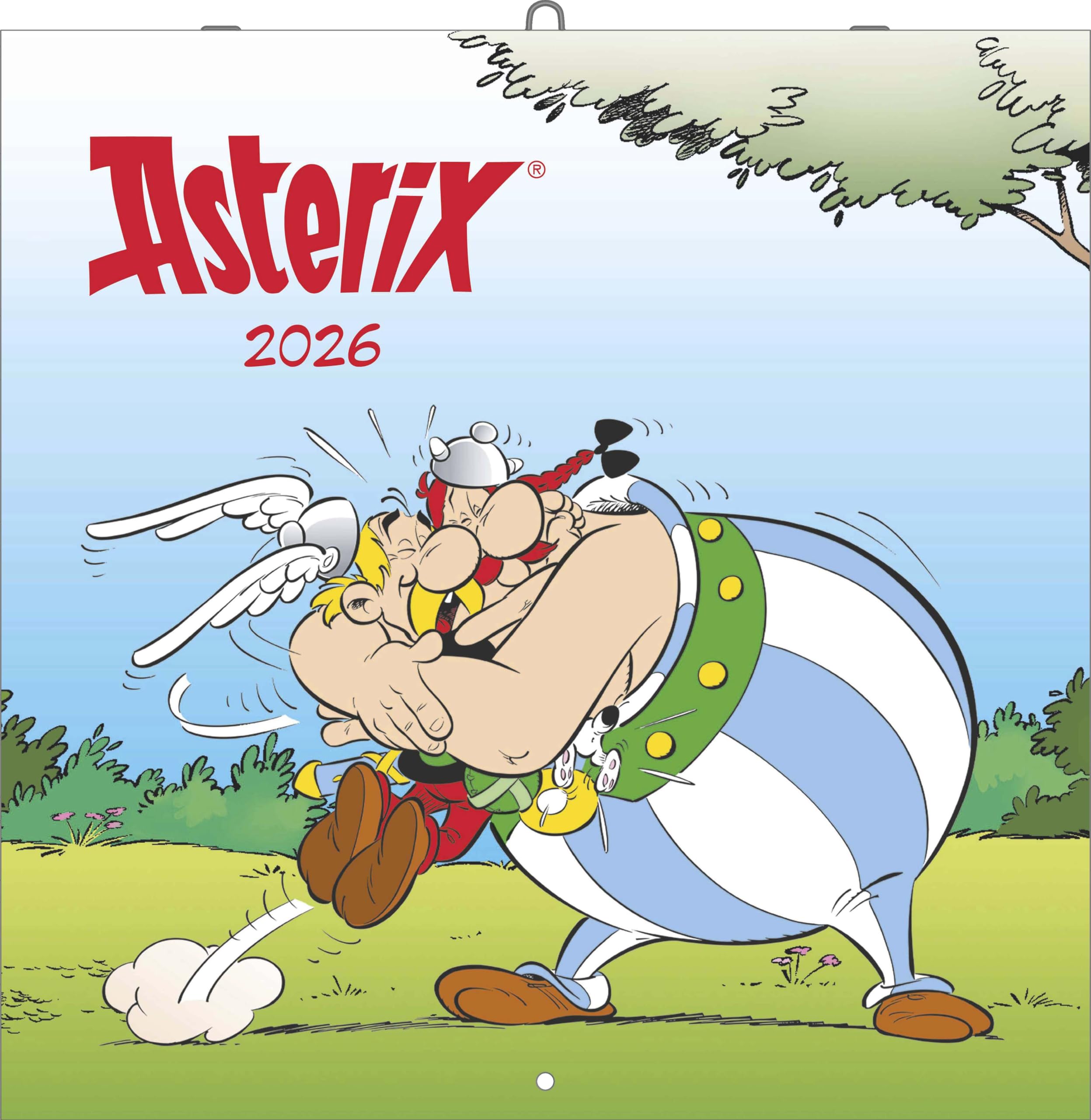 N Neumann - Asterix 2026 – Wandkalender Broschürenkalender 30x30 cm (offen 30x60 cm) mit 12 Monatsblättern, 6-sprachigem Kalendarium & Notizbereich, Cartoon-Kalender für Kinder & Comic-Fans