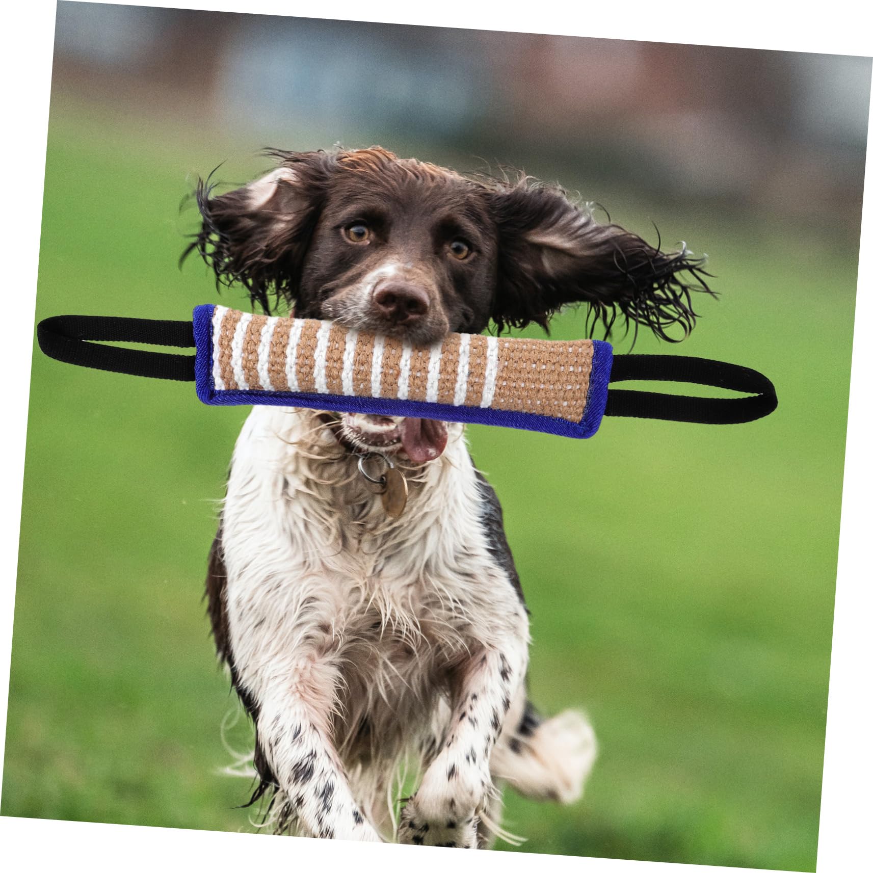 BESPORTBLE 4stücke Hundespielzeug Jute Kautschuk Kissen Interaktives Zugspielzeug Für Große Hunde Strapazierfähiges Bisskissen Für Training Und Spiel Fördert Kau Und Beißfähigkeiten